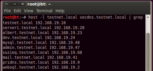 DNS zone transfer on a local domain using host